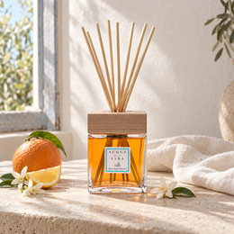 HOME DIFFUSER BAIA DEGLI AGRUMI