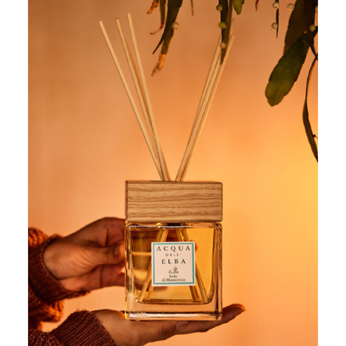 HOME DIFFUSER ISOLA DI MONTECRISTO — original Acqua dell'Elba  lifestyle 1