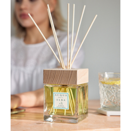 HOME DIFFUSER LIMONAIA DI SANT'ANDREA