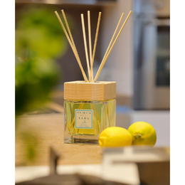 HOME DIFFUSER LIMONAIA DI SANT'ANDREA