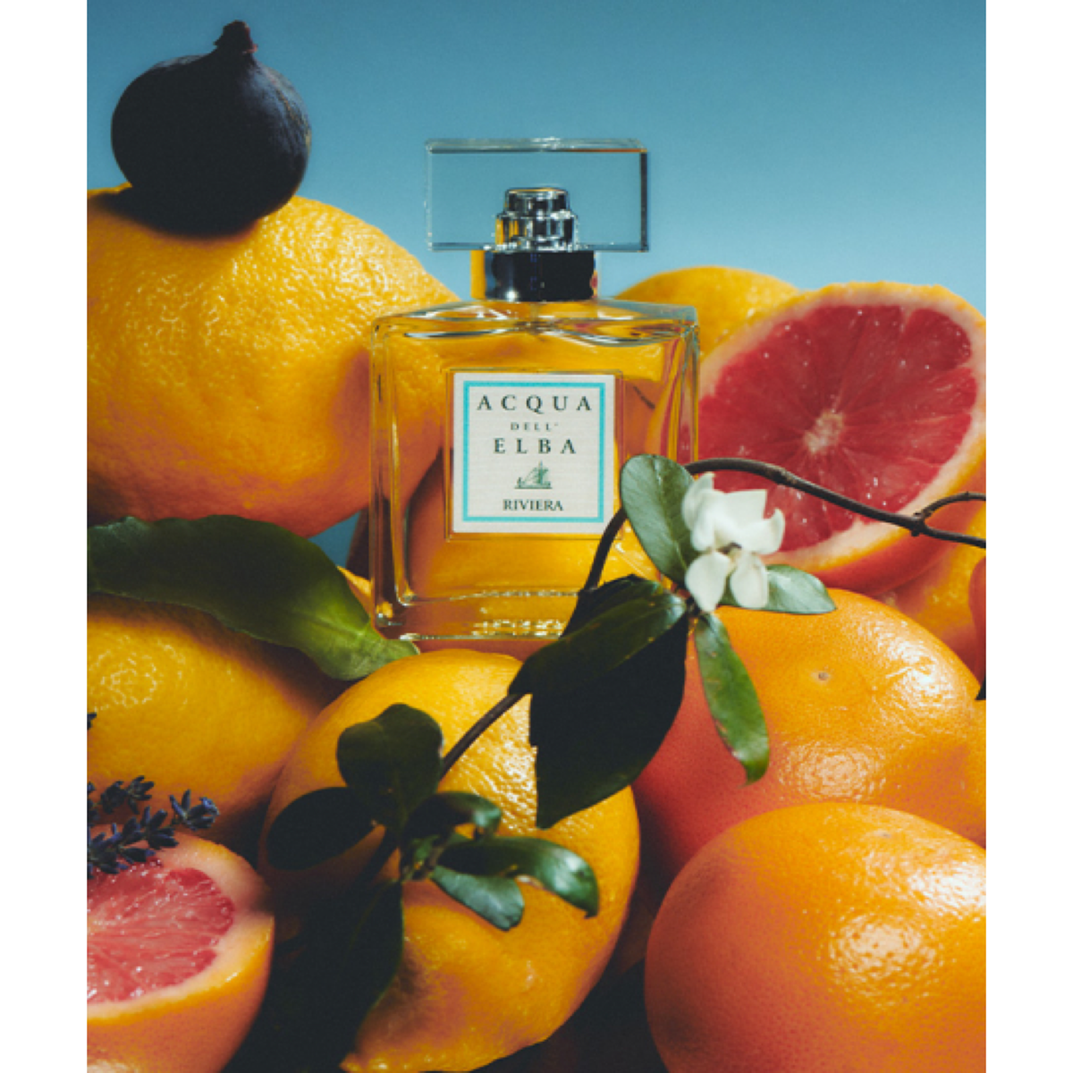 RIVIERA — official  photograph; full original composition, proportionally resized